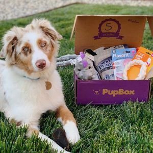 Image post by @petco on Instagram
