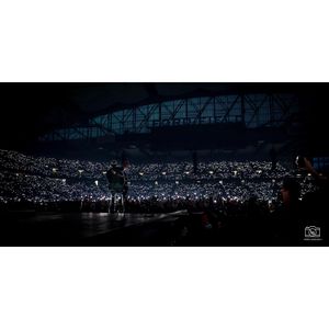 Image post by @scarsees on Instagram