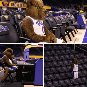 Image post by @pittofficial on Instagram