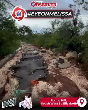 Image post by @jamaicaobserver on Instagram