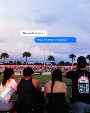 Image post by @sarasotaparadise on Instagram