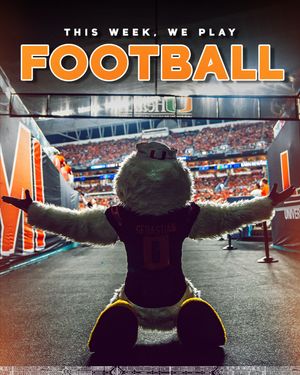 Image post by @um_sebastian on Instagram