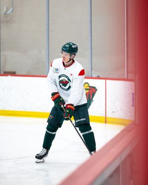 Image post by @minnesotawild on Instagram