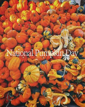 Image post by @psuoutreach on Instagram