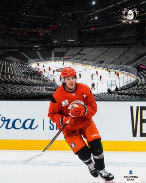 Image post by @anaheimducks on Instagram