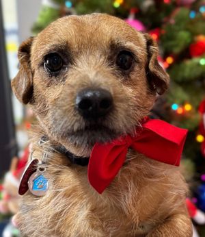 Image post by @abc15arizona on Instagram