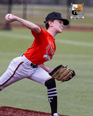 Image post by @rawlingstigers on Instagram