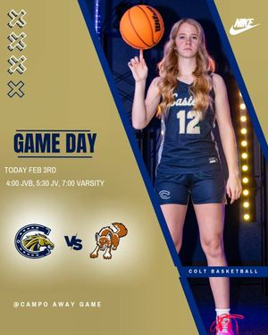 Image post by @casteelwomensbasketball on Instagram