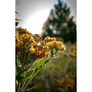Image post by @photosbytrev20 on Instagram