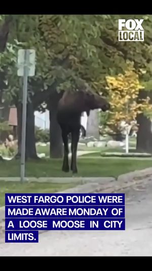 Video post by @fox6now on Instagram