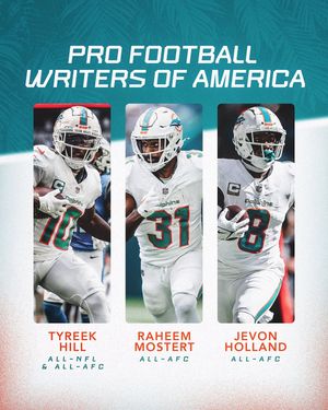 Image post by @miamidolphins on Instagram