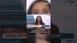Video post by @thenationaldesk on YouTube