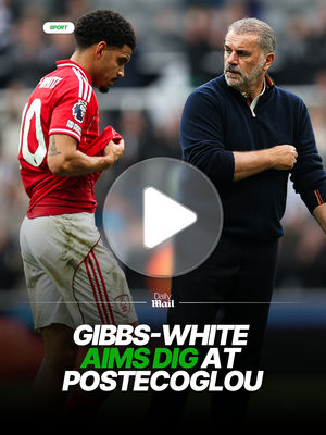 Video post by @dailymailsport on TikTok