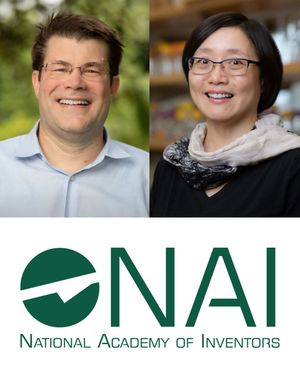 Image post by @fsuartssciences on Instagram