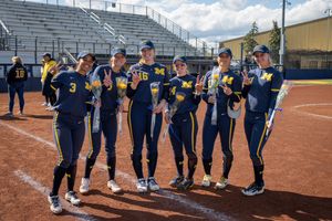 Image post by @umichsoftball on Twitter