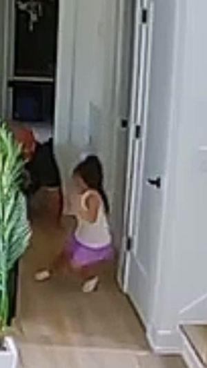 Video post by @thepuigfamily on TikTok