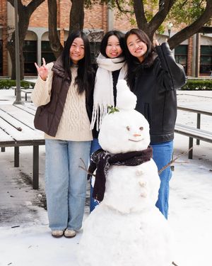 Image post by @utaustintx on Instagram