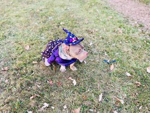 Image post by @DetroitParksRec on Facebook
