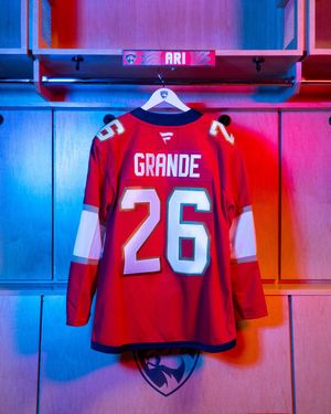 Image post by @FlaPanthers on Twitter/X