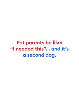 Image post by @petsmart on Instagram