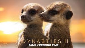 Video post by @bbcearth on YouTube