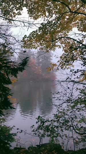 Video post by @filmbychloeg on TikTok