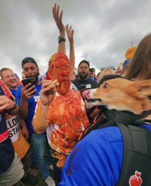 Image post by @ziggy_thecorg on Instagram