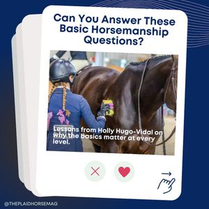 Image post by @theplaidhorsemag on Instagram