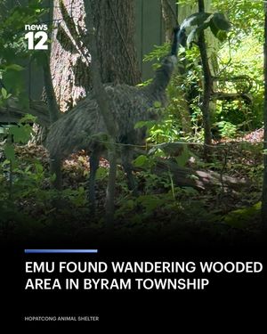 Image post by @news12nj on Instagram