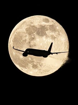 Image post by @deltaairlines_jp on Instagram