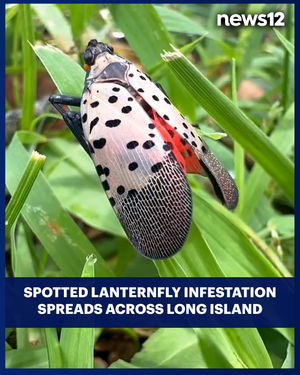Image post by @news12li on Instagram