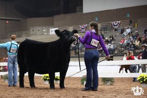 Image post by @AmericanRoyalLivestock on Facebook