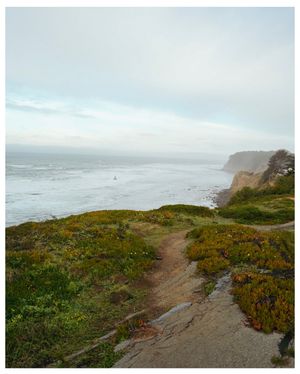 Image post by @blizzflicks on Instagram