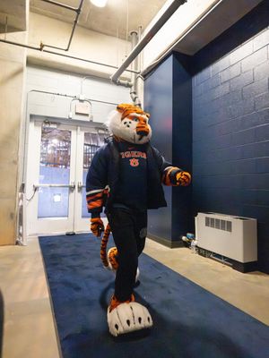 Image post by @aubiethetiger01 on Instagram