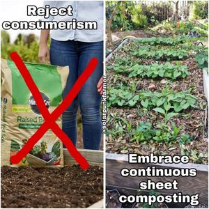 Image post by @green.anarchist on Instagram