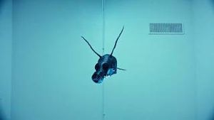 Video post by @paparoach on YouTube