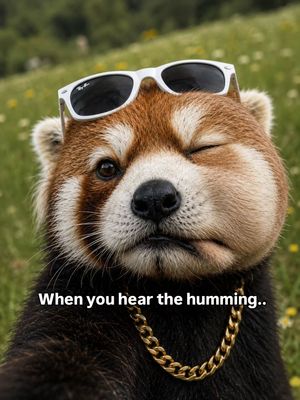 Image post by @redpandavx on Instagram