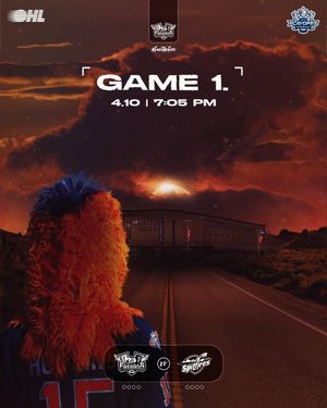 Image post by @flintfirebirds on Instagram