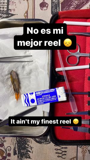 Video post by @aqualupi on Instagram