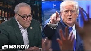 Video post by @msnbc on YouTube