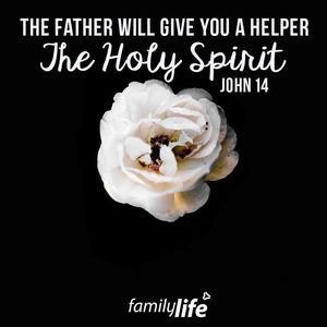 Image post by @familylifenypa on Instagram