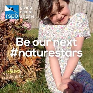 Image post by @rspb on Instagram