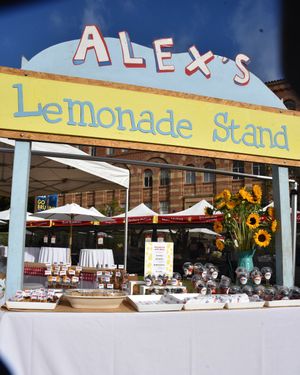 Image post by @alexslemonade on Instagram