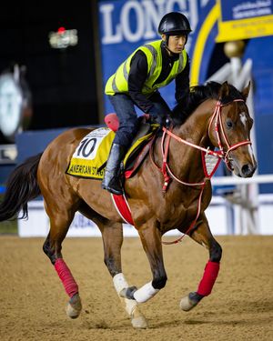 Image post by @worldhorseracing on Instagram