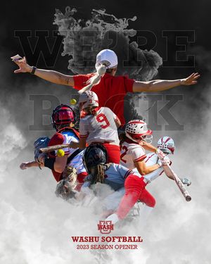 Image post by @washusoftball on Instagram