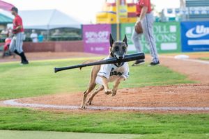 Image post by @lexingtonlegends on Instagram