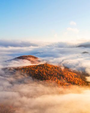 Image post by @droneartgallery on Instagram