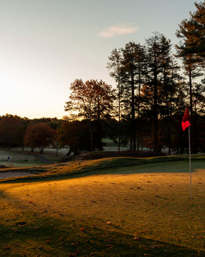Image post by @playmassgolf on Instagram