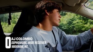 Image post by @wheethecats on Instagram