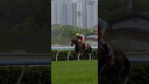 Video post by @worldhorseracing on YouTube